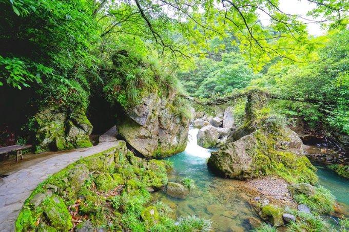 沪江开心词场